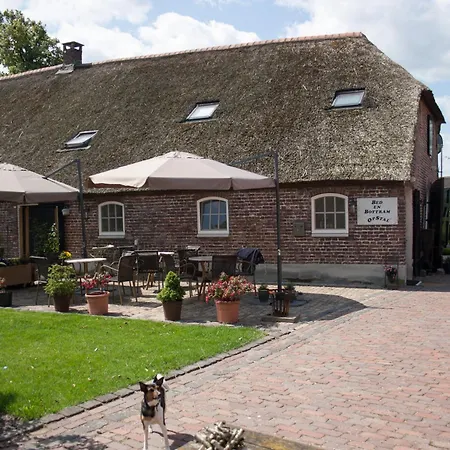 Hotel De Martiene Plats -