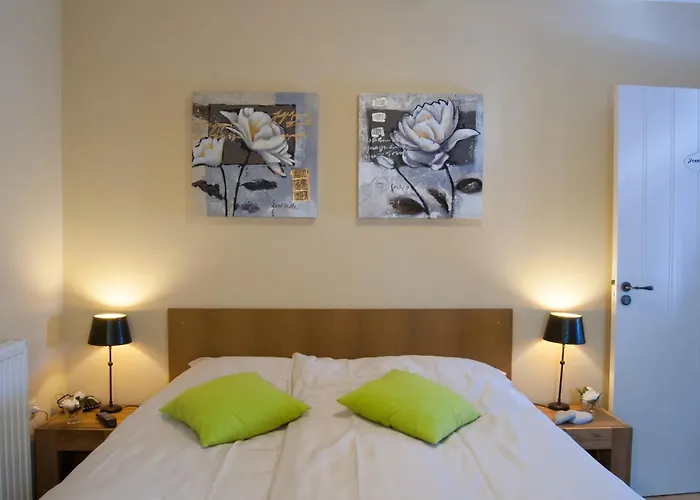 Hotel De Martiene Plats -