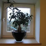 酒店 De Martiene Plats -