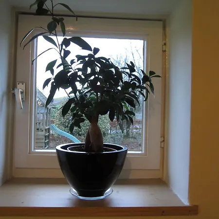 Hotel De Martiene Plats -