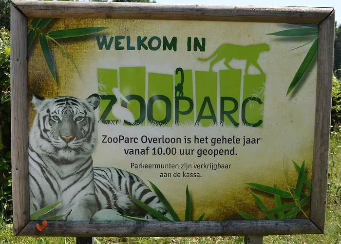 De Martiene Plats - 2*